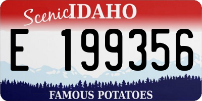 ID license plate E199356