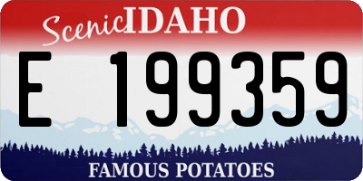 ID license plate E199359