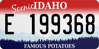 ID license plate E199368