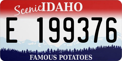 ID license plate E199376