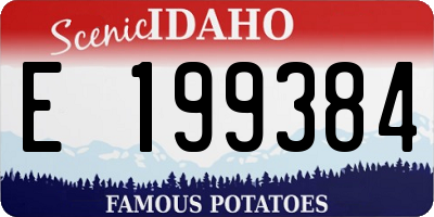 ID license plate E199384