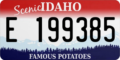 ID license plate E199385