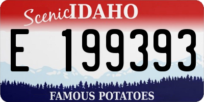 ID license plate E199393