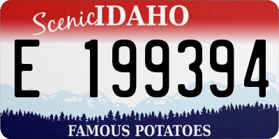 ID license plate E199394