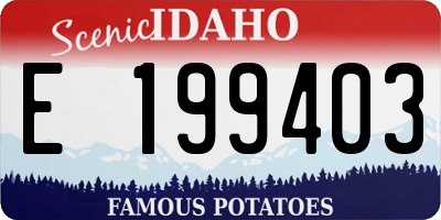 ID license plate E199403