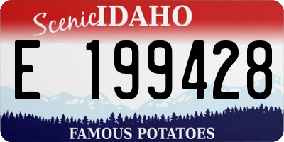 ID license plate E199428