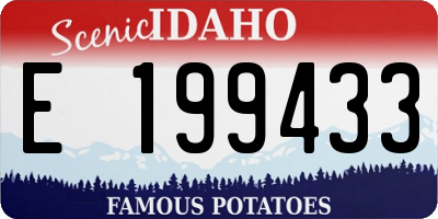 ID license plate E199433