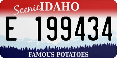 ID license plate E199434