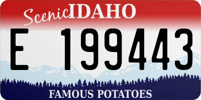 ID license plate E199443