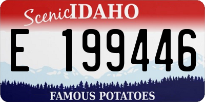 ID license plate E199446