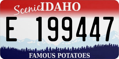 ID license plate E199447