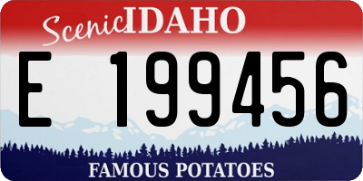 ID license plate E199456