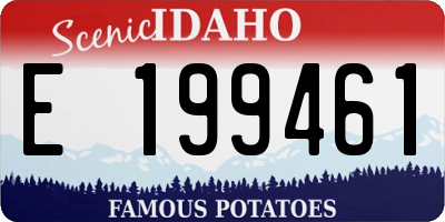ID license plate E199461
