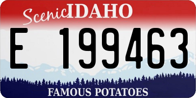 ID license plate E199463