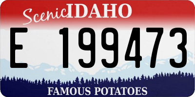 ID license plate E199473