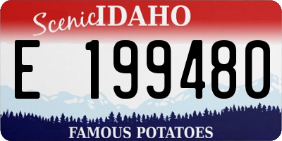 ID license plate E199480