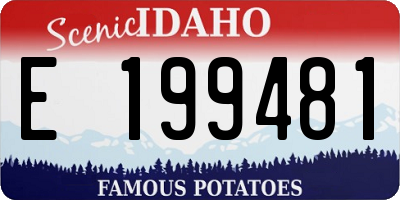ID license plate E199481