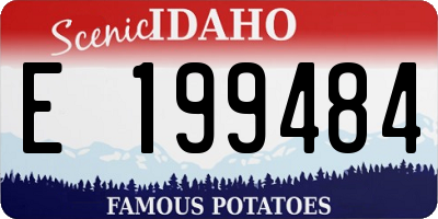 ID license plate E199484