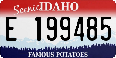 ID license plate E199485