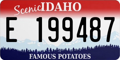 ID license plate E199487