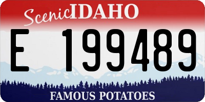 ID license plate E199489