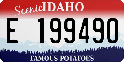 ID license plate E199490