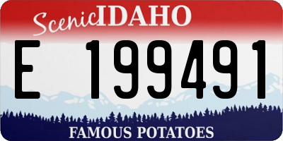 ID license plate E199491