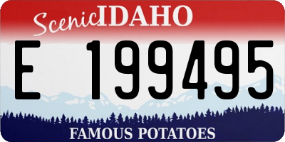 ID license plate E199495