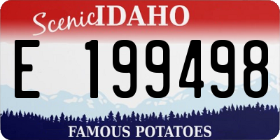 ID license plate E199498