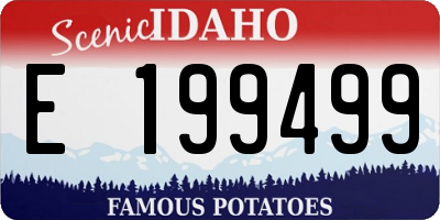 ID license plate E199499