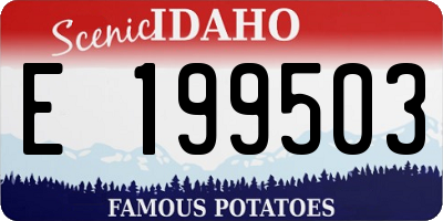 ID license plate E199503