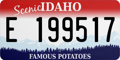 ID license plate E199517
