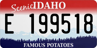 ID license plate E199518
