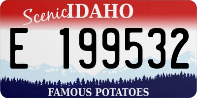 ID license plate E199532