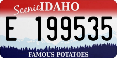 ID license plate E199535