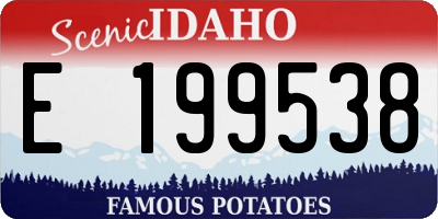 ID license plate E199538
