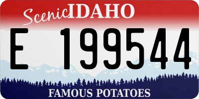 ID license plate E199544