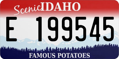 ID license plate E199545