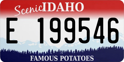 ID license plate E199546