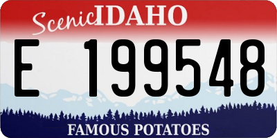 ID license plate E199548