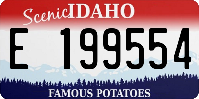 ID license plate E199554