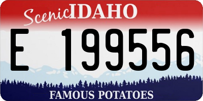 ID license plate E199556