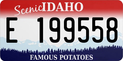 ID license plate E199558