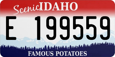 ID license plate E199559