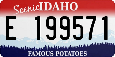 ID license plate E199571