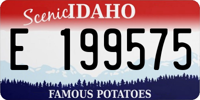 ID license plate E199575