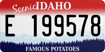 ID license plate E199578