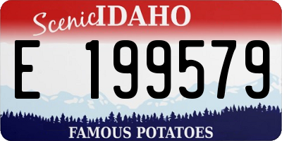 ID license plate E199579