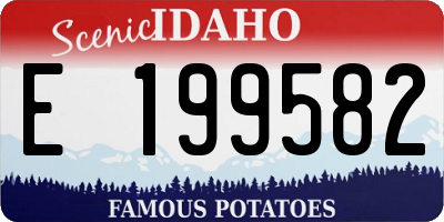 ID license plate E199582