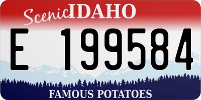 ID license plate E199584